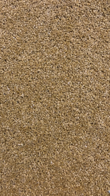 >LANDSCAPE TWIST COPPICED ASH 